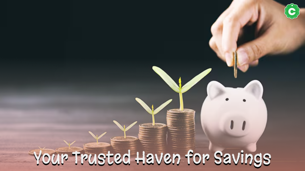 Your Trusted Haven for Savings